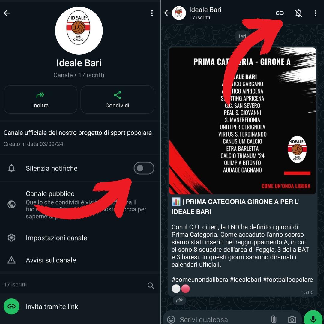 DA OGGI E' ATTIVO IL CANALE WHATSAPP UFFICIALE DELL' IDEALE BARI