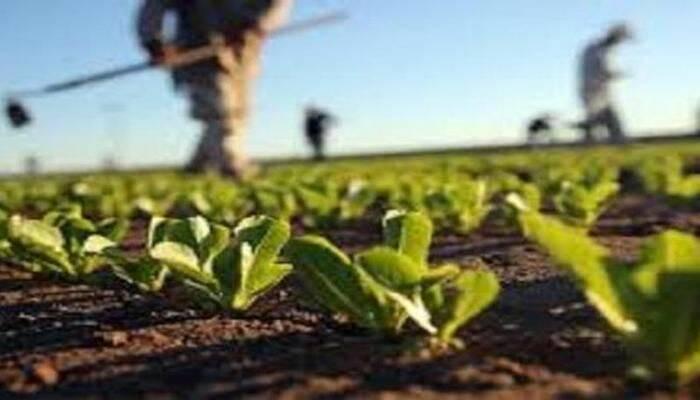 https://slyvi-hosting.slyvi.it/teampages/3554808936193/images/imported/photogallery_new/images/2020/05/agricoltura-biologica-405464.jpg